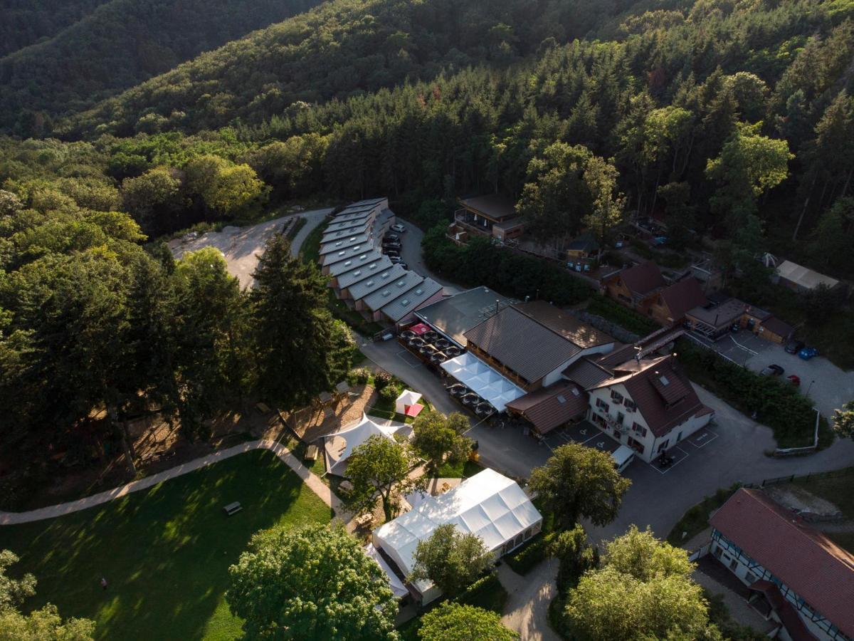 Domaine Du Hirtz, Restaurant & Spa Wattwiller Екстериор снимка